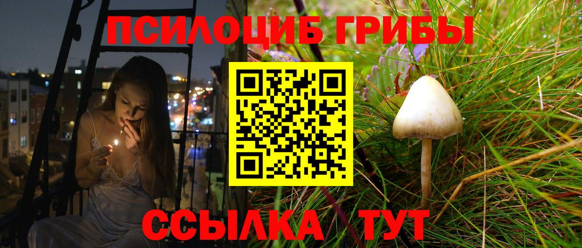 Псилоцибиновые грибы мухоморы Ефремов